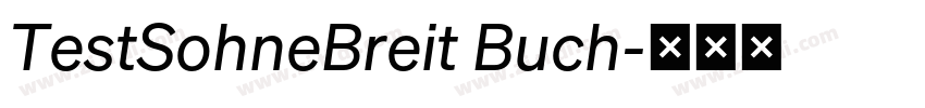TestSohneBreit Buch字体转换